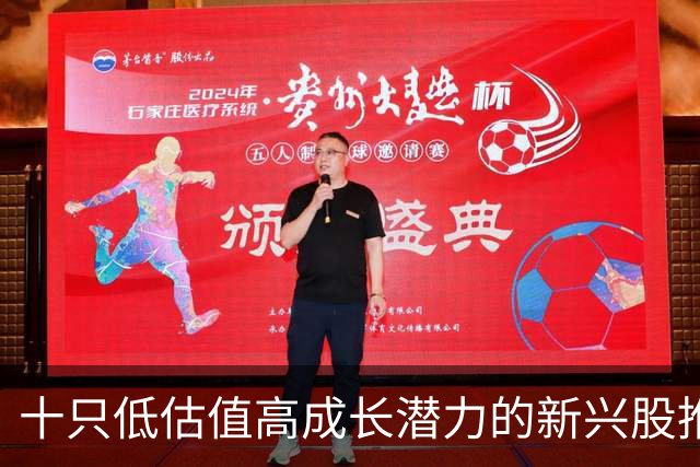 十只低估值高成长潜力的新兴股推荐