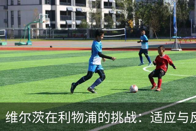 维尔茨在利物浦的挑战：适应与反思之旅