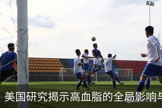 美国研究揭示高血脂的全局影响与综合管理策略